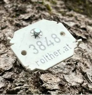 Baummarke 3848 an einer Baumrinde