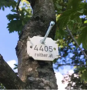 Baummarke 4405 an einem Baumstamm