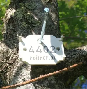Baummarke 4402 an einem Baumstamm
