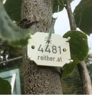 Baummarke 4481 an einem Baumstamm