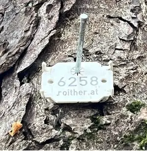 Baummarke 6258 an einer Baumrinde