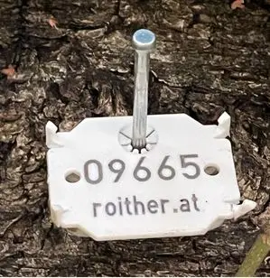 Baummarke 09665 mit roither.at an einer Baumrinde