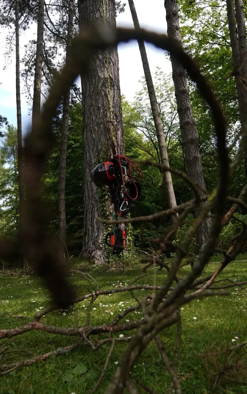 Werkzeug bei Arbeiten an einem Baum