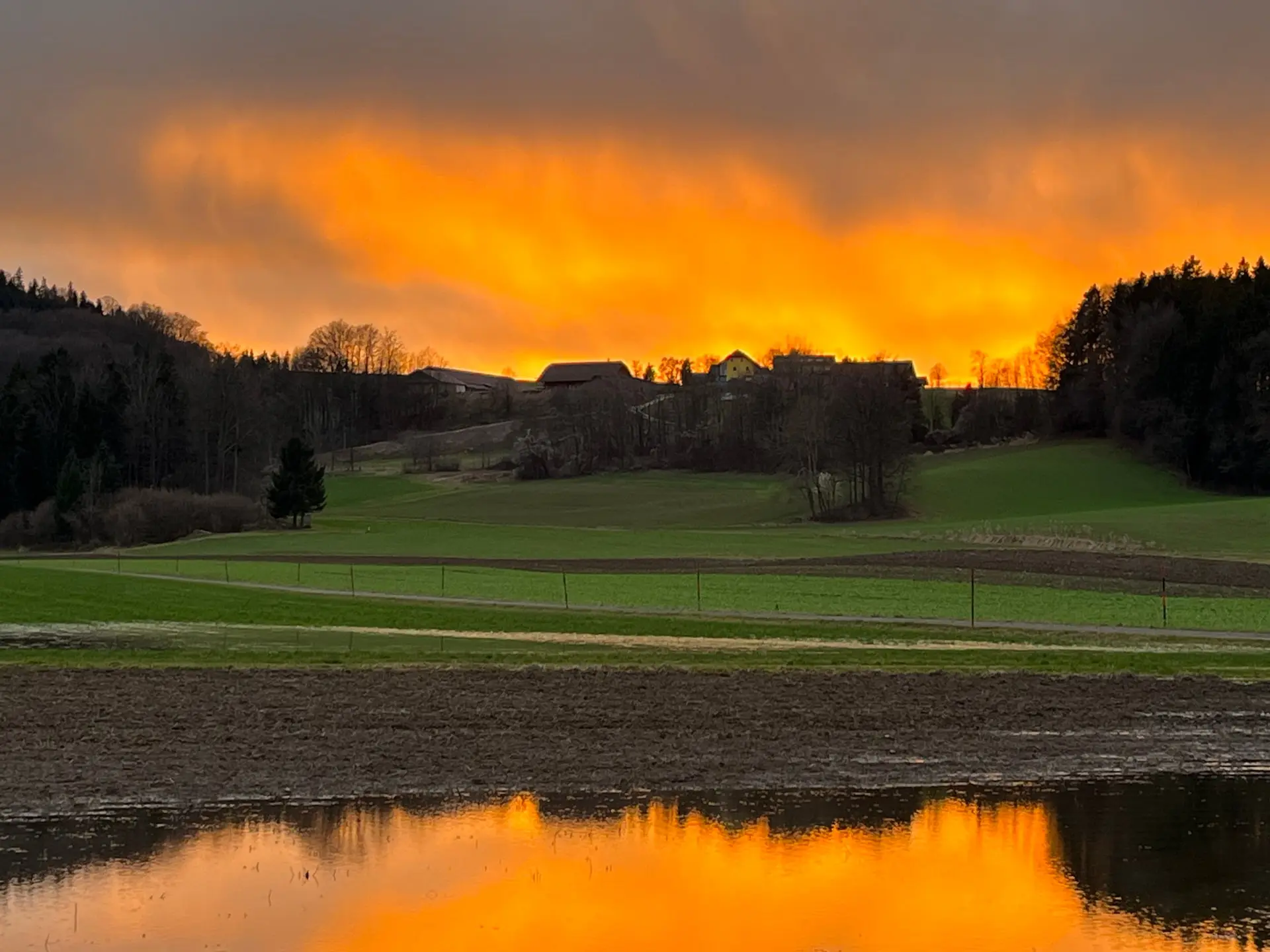Naturnaher Grünraum im Abendlicht