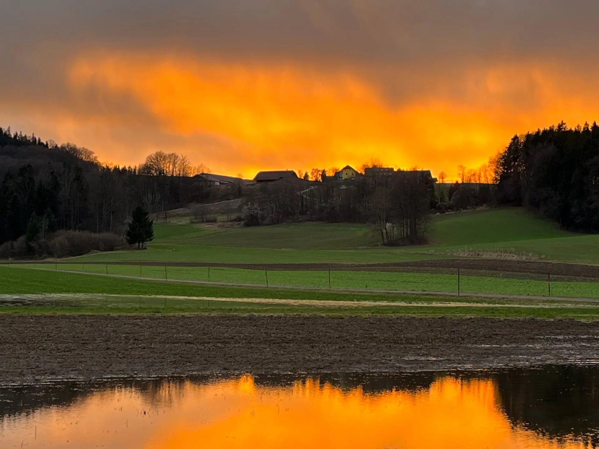 Grünraum bei Sonnenuntergang in der Umgebung von Kemating