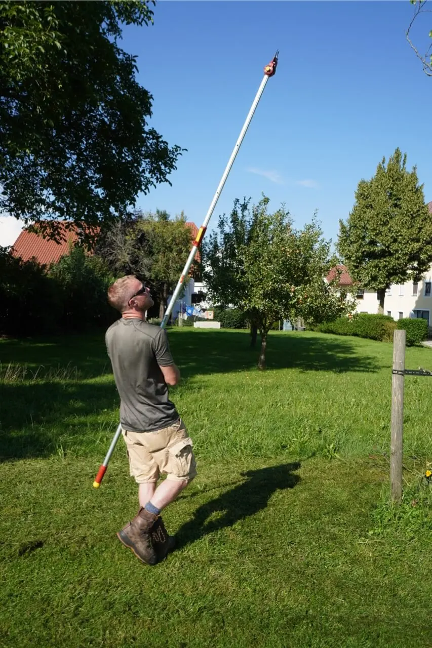 Gärtner beim fachgerechten Gehölzschnitt mit der Teleskopschere